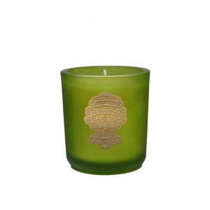 Barr-Co Limited Edition Crest Fir & Grapefruit Candle 8oz 